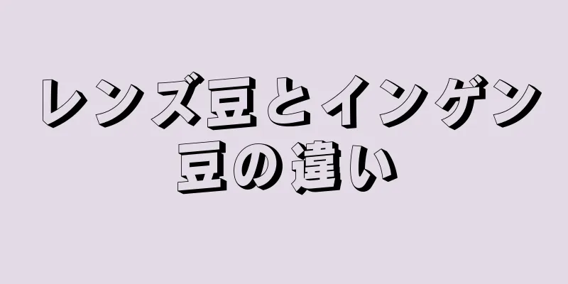 レンズ豆とインゲン豆の違い