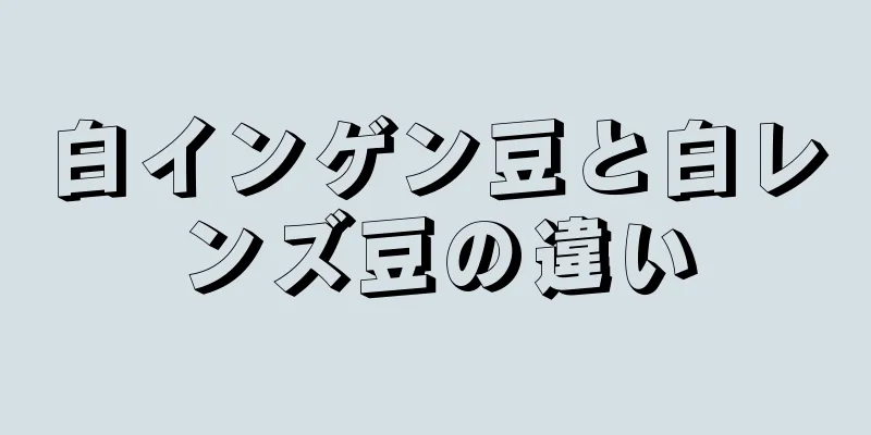 白インゲン豆と白レンズ豆の違い