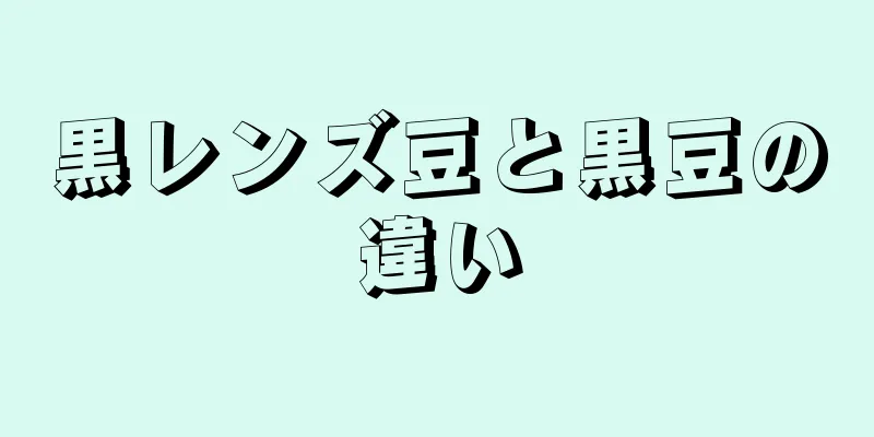 黒レンズ豆と黒豆の違い