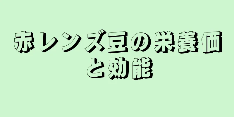 赤レンズ豆の栄養価と効能