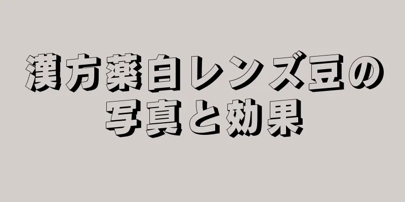 漢方薬白レンズ豆の写真と効果