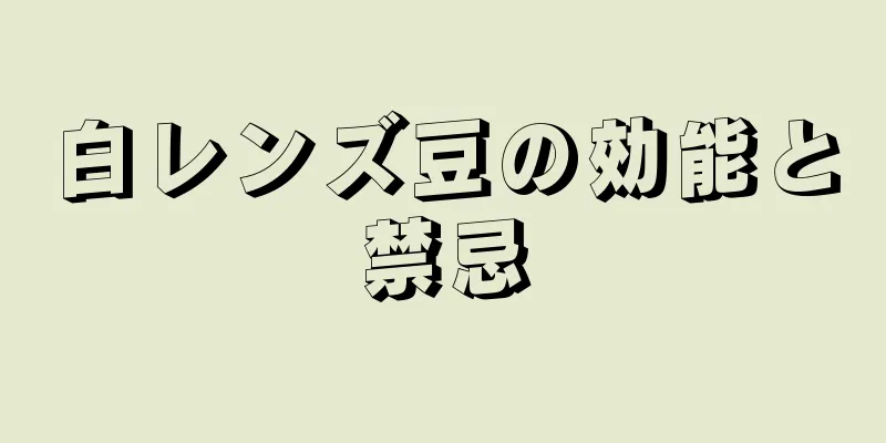 白レンズ豆の効能と禁忌