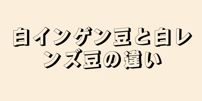 白インゲン豆と白レンズ豆の違い