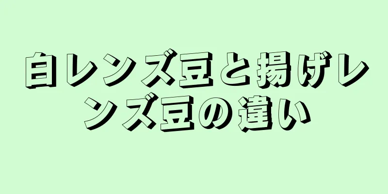 白レンズ豆と揚げレンズ豆の違い