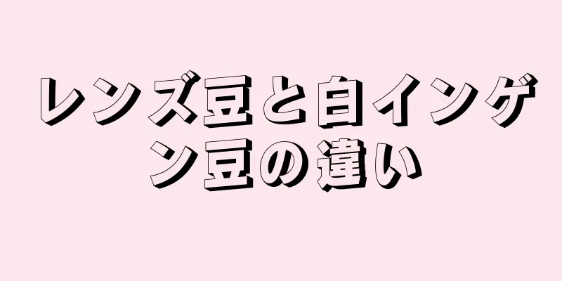 レンズ豆と白インゲン豆の違い