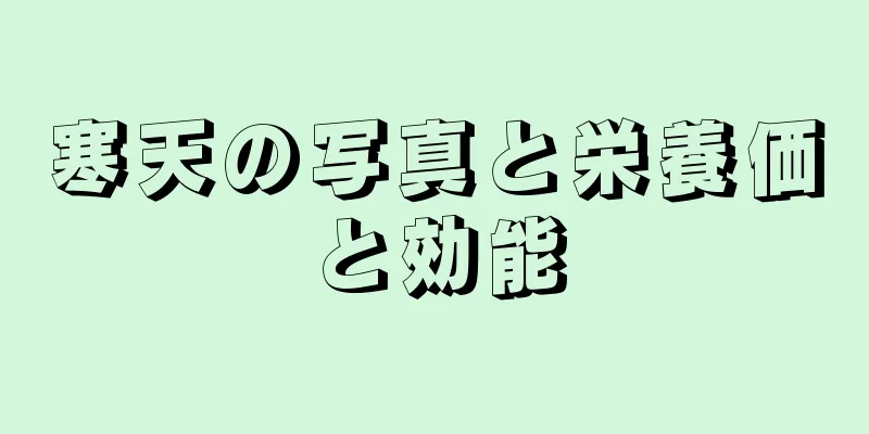 寒天の写真と栄養価と効能