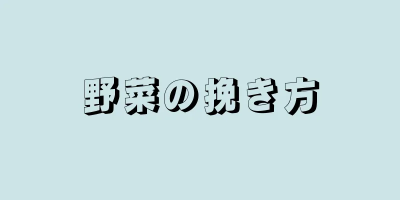 野菜の挽き方