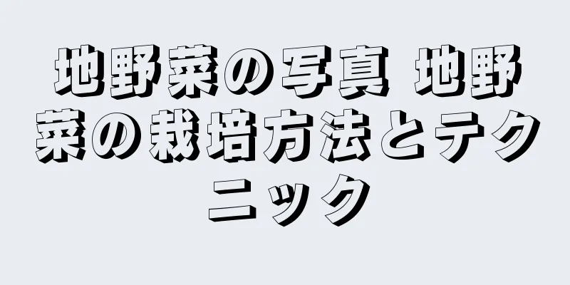 地野菜の写真 地野菜の栽培方法とテクニック