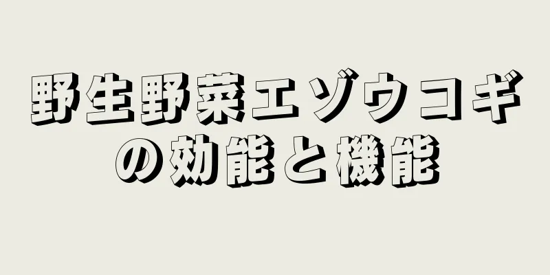野生野菜エゾウコギの効能と機能