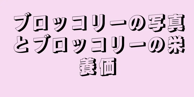 ブロッコリーの写真とブロッコリーの栄養価