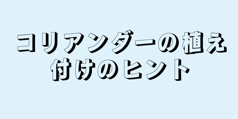 コリアンダーの植え付けのヒント