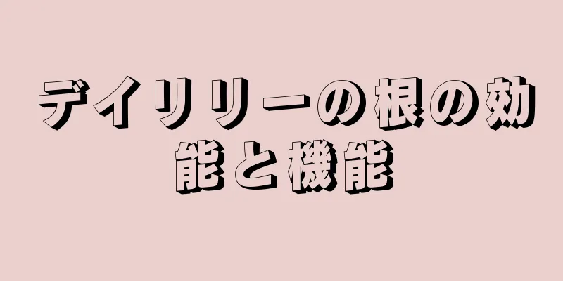 デイリリーの根の効能と機能
