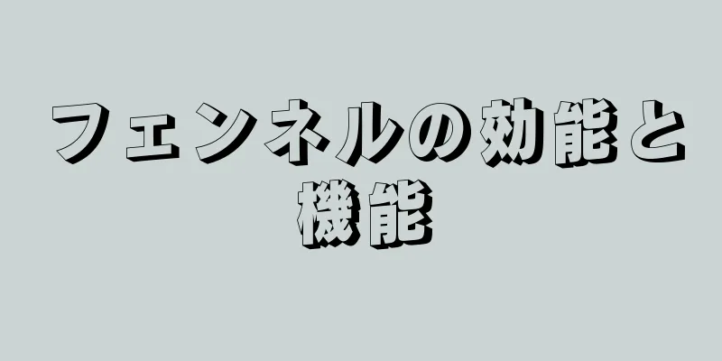 フェンネルの効能と機能