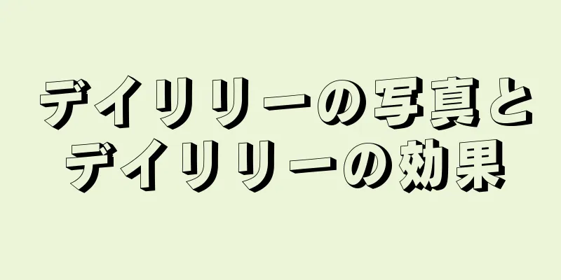 デイリリーの写真とデイリリーの効果