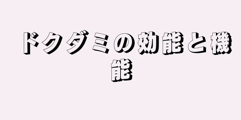 ドクダミの効能と機能