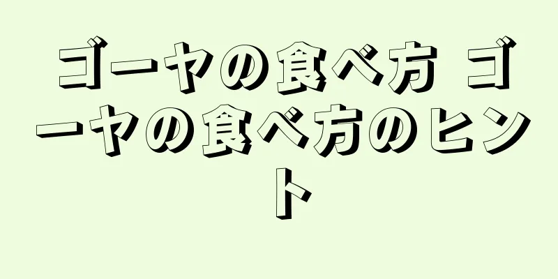 ゴーヤの食べ方 ゴーヤの食べ方のヒント