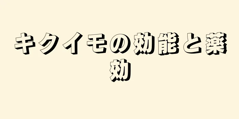 キクイモの効能と薬効