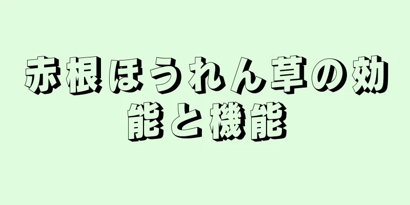 赤根ほうれん草の効能と機能