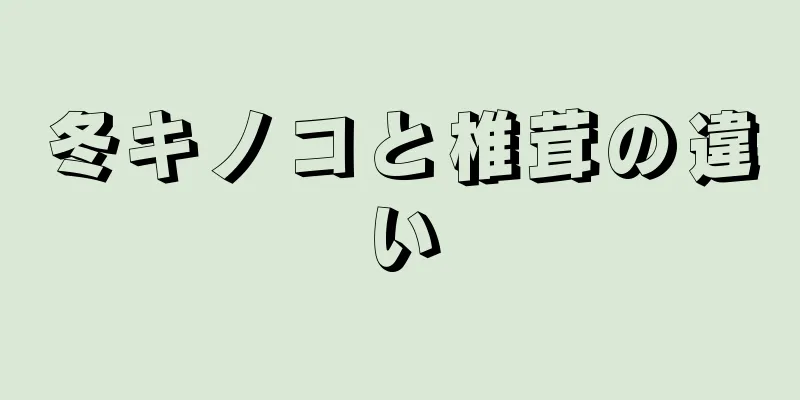 冬キノコと椎茸の違い
