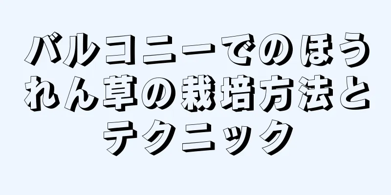 バルコニーでのほうれん草の栽培方法とテクニック