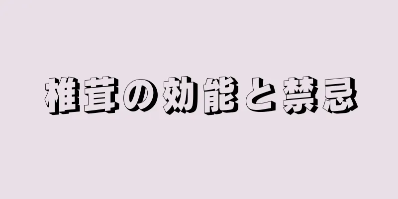 椎茸の効能と禁忌