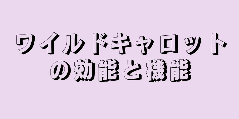ワイルドキャロットの効能と機能