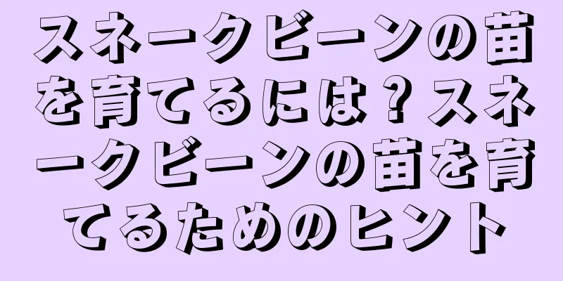 スネークビーンの苗を育てるには？スネークビーンの苗を育てるためのヒント