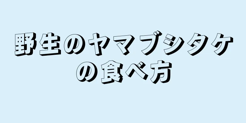 野生のヤマブシタケの食べ方