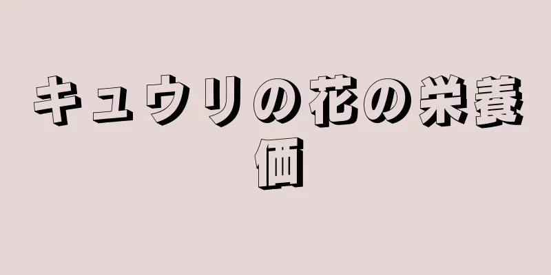 キュウリの花の栄養価