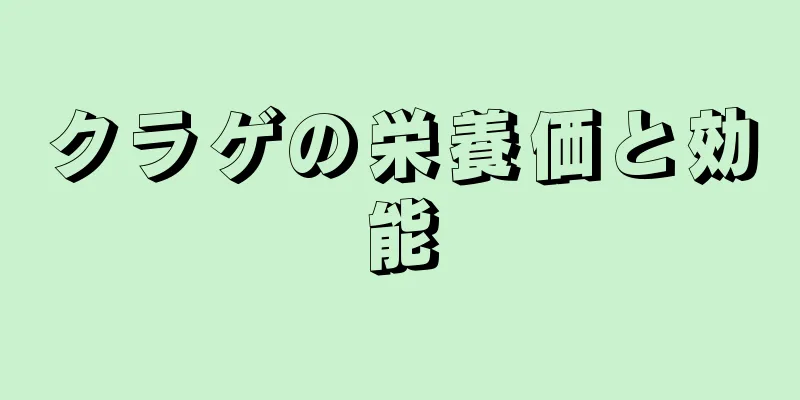 クラゲの栄養価と効能