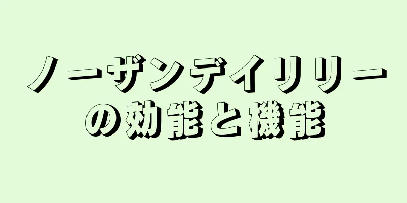 ノーザンデイリリーの効能と機能