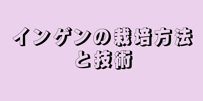 インゲンの栽培方法と技術
