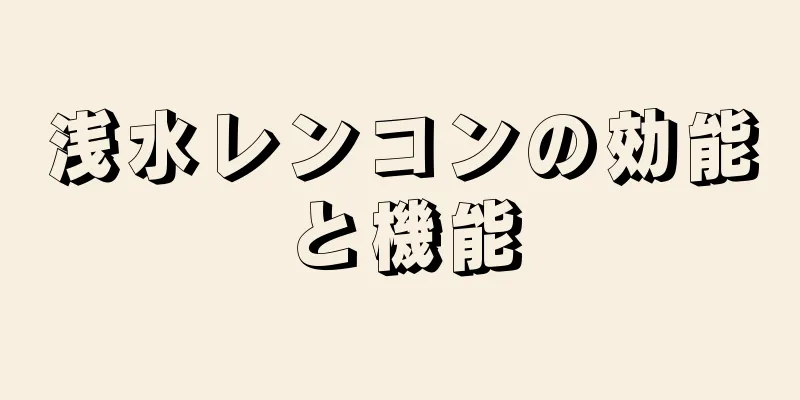 浅水レンコンの効能と機能