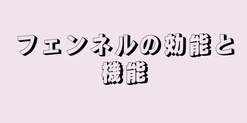 フェンネルの効能と機能