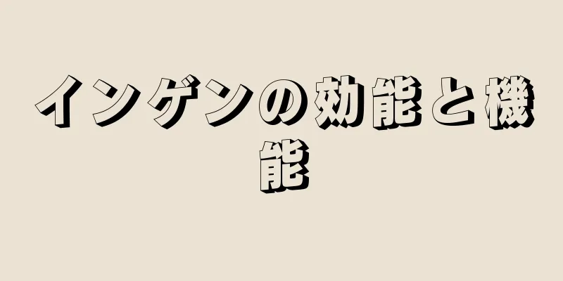 インゲンの効能と機能