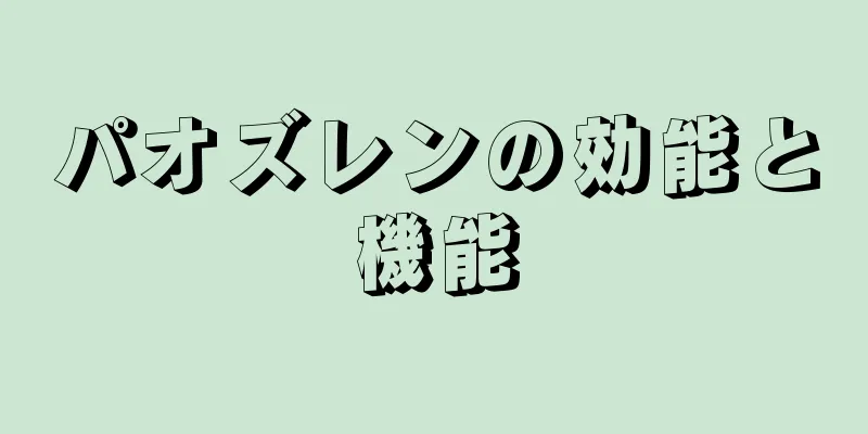 パオズレンの効能と機能