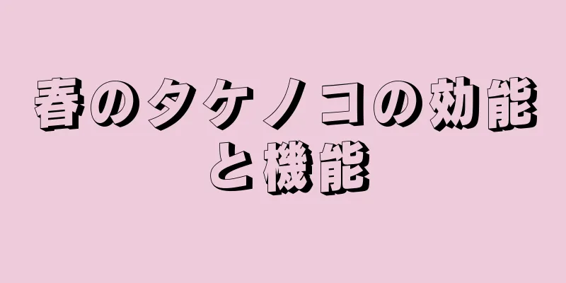 春のタケノコの効能と機能