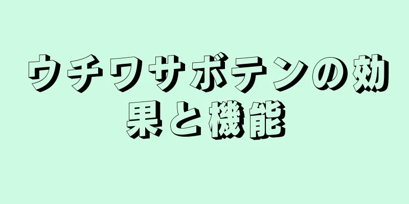 ウチワサボテンの効果と機能