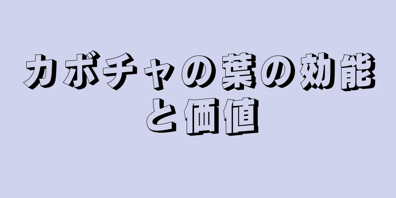 カボチャの葉の効能と価値