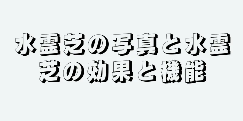 水霊芝の写真と水霊芝の効果と機能