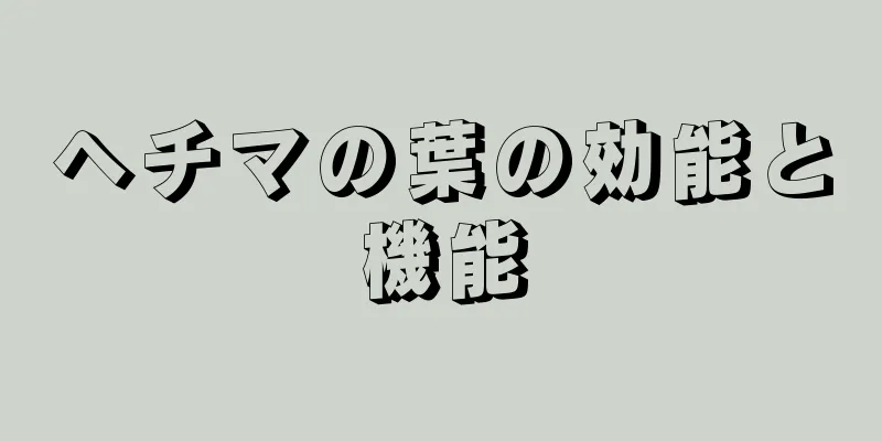 ヘチマの葉の効能と機能