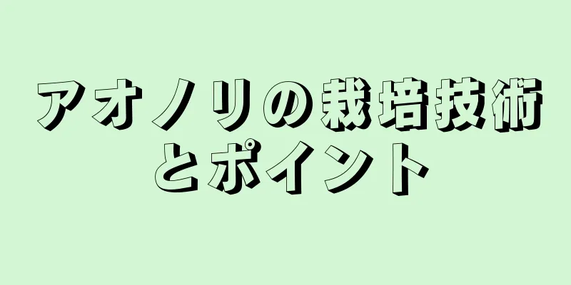 アオノリの栽培技術とポイント