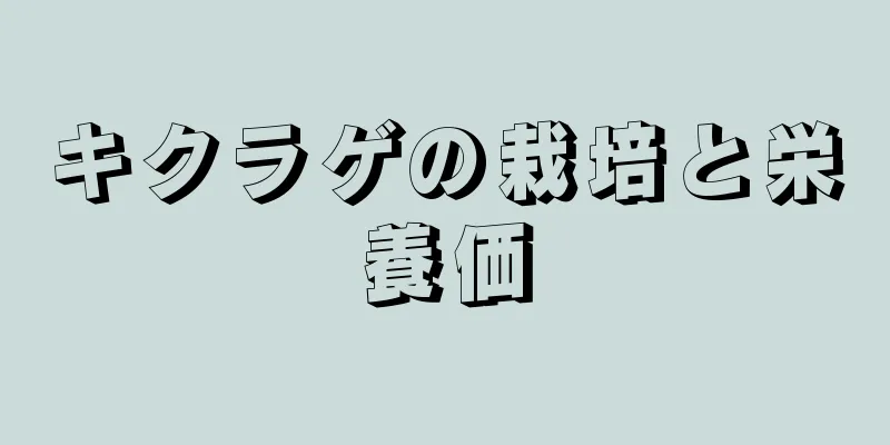 キクラゲの栽培と栄養価
