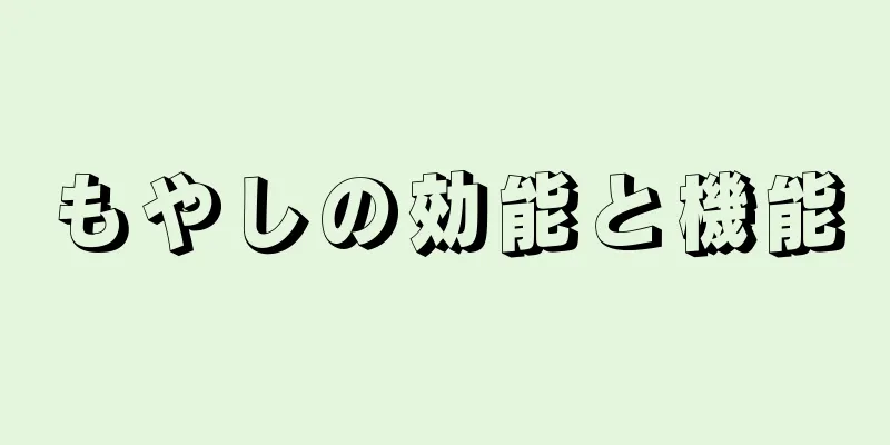 もやしの効能と機能