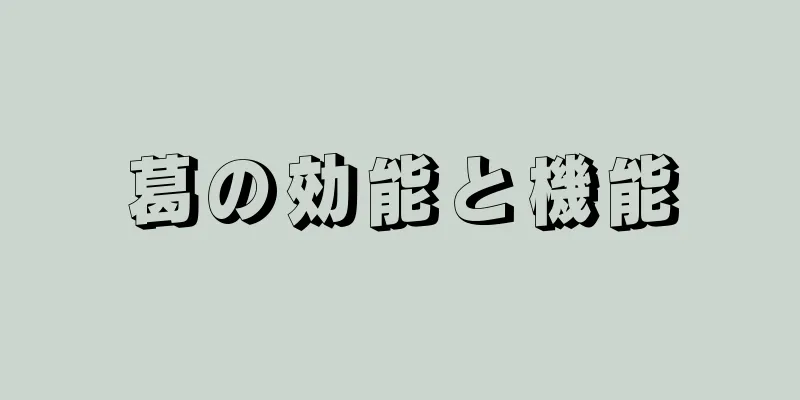 葛の効能と機能