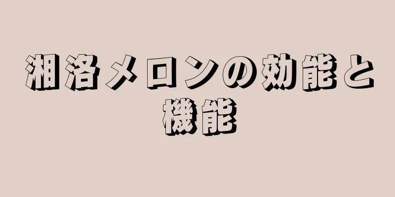 湘洛メロンの効能と機能