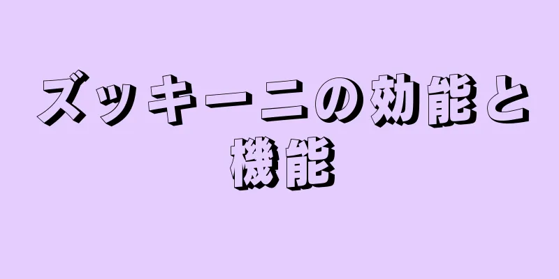 ズッキーニの効能と機能