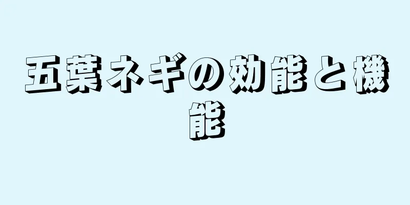 五葉ネギの効能と機能