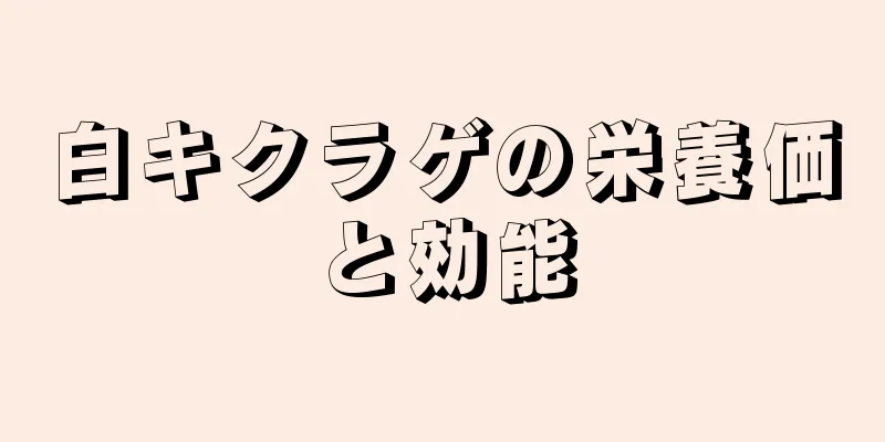 白キクラゲの栄養価と効能
