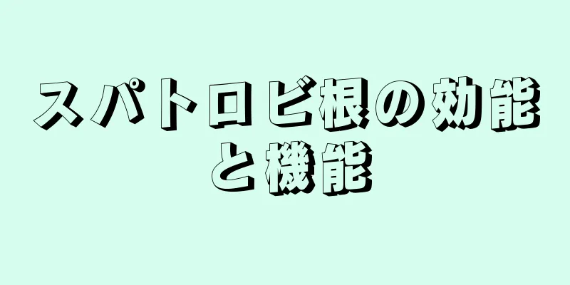 スパトロビ根の効能と機能